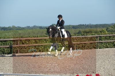 Blue Hors Dressuchampionat 2019 4års
Billeder fra stævnet
Nøgleord: ferrari;helena b hansen