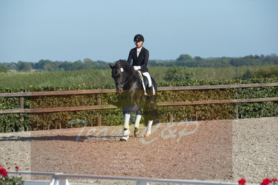 Blue Hors Dressuchampionat 2019 4års
Billeder fra stævnet
Nøgleord: ferrari;helena b hansen