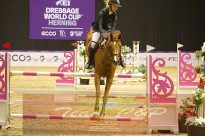 Worldcup Herning 2019
Nøgleord: madeleine lien;eh quick nina