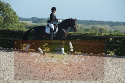 Blue Hors Dressuchampionat 2019 4års
Billeder fra stævnet
Nøgleord: ferrari;helena b hansen