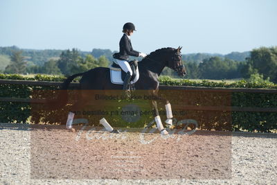 Blue Hors Dressuchampionat 2019 4års
Billeder fra stævnet
Nøgleord: ferrari;helena b hansen