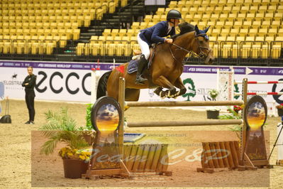 Worldcup Herning 2019
Nøgleord: red morgan;kwickly