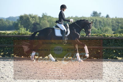 Blue Hors Dressuchampionat 2019 4års
Billeder fra stævnet
Nøgleord: ferrari;helena b hansen