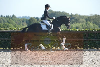 Blue Hors Dressuchampionat 2019 4års
Billeder fra stævnet
Nøgleord: ferrari;helena b hansen