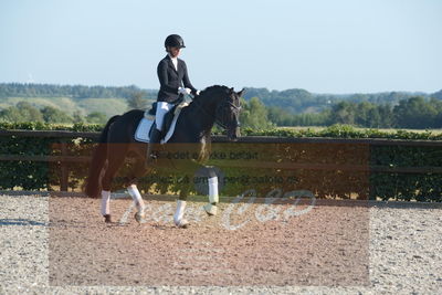 Blue Hors Dressuchampionat 2019 4års
Billeder fra stævnet
Nøgleord: ferrari;helena b hansen