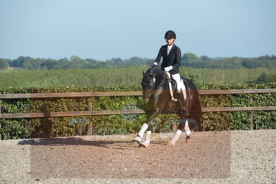 Blue Hors Dressuchampionat 2019 4års
Billeder fra stævnet
Nøgleord: ferrari;helena b hansen