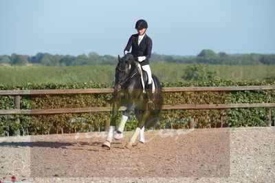 Blue Hors Dressuchampionat 2019 4års
Billeder fra stævnet
Nøgleord: ferrari;helena b hansen