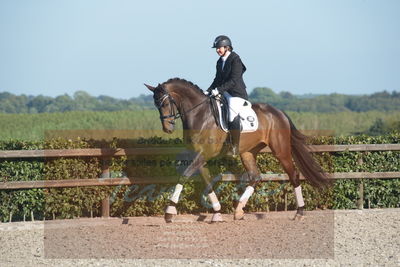 Blue Hors Dressuchampionat 2019 4års
Billeder fra stævnet
Nøgleord: tempus san;susanne christensen