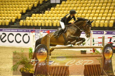 Worldcup Herning 2019
Nøgleord: nanna møller ellegaard;cinderella
