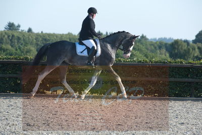 Blue Hors Dressuchampionat 2019 4års
Billeder fra stævnet
Nøgleord: rasmus pedersen;rosenlunds st tropez