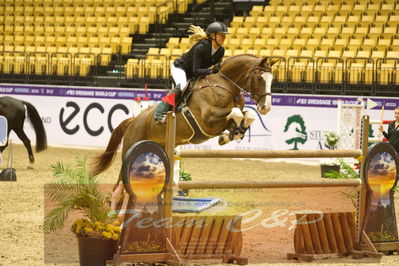 Worldcup Herning 2019
Nøgleord: victorie sophia hjorth-madsen