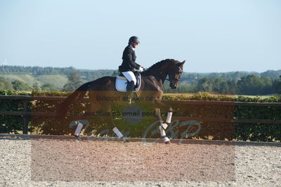 Blue Hors Dressuchampionat 2019 4års
Billeder fra stævnet
Nøgleord: tempus san;susanne christensen