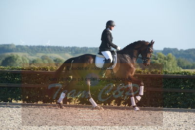 Blue Hors Dressuchampionat 2019 4års
Billeder fra stævnet
Nøgleord: tempus san;susanne christensen