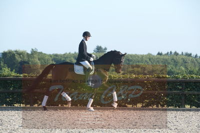 Blue Hors Dressuchampionat 2019 4års
Billeder fra stævnet
Nøgleord: flonel guldberg;steen steensen blicher