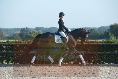 Blue Hors Dressuchampionat 2019 4års
Billeder fra stævnet
Nøgleord: jap's angel og mine l;maja brøchner