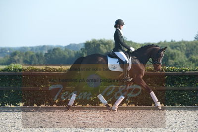 Blue Hors Dressuchampionat 2019 4års
Billeder fra stævnet
Nøgleord: jap's angel og mine l;maja brøchner