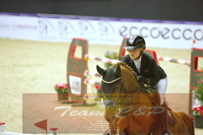 Worldcup Herning 2019
Nøgleord: zasha nygaard andreasen;mr calando