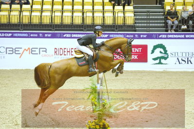 Worldcup Herning 2019
Nøgleord: zasha nygaard andreasen;mr calando