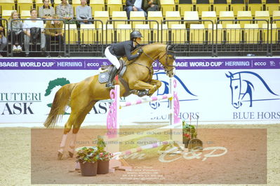 Worldcup Herning 2019
Nøgleord: stephi de boer;community 3