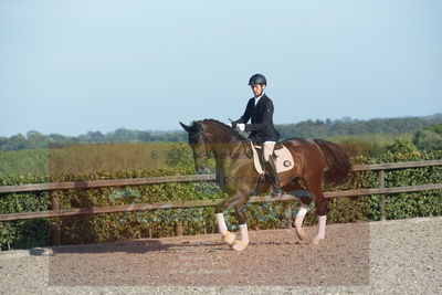 Blue Hors Dressuchampionat 2019 4års
Billeder fra stævnet
Nøgleord: lybækgårds chandler;klaus meldgaard jensen