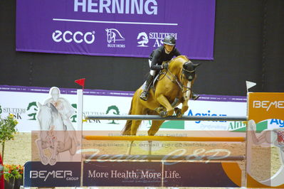Worldcup Herning 2019
Nøgleord: stephi de boer;community 3
