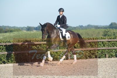 Blue Hors Dressuchampionat 2019 4års
Billeder fra stævnet
Nøgleord: lybækgårds chandler;klaus meldgaard jensen