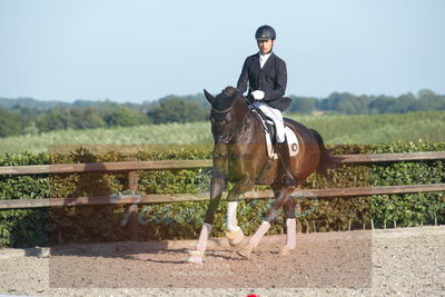 Blue Hors Dressuchampionat 2019 4års
Billeder fra stævnet
Nøgleord: lybækgårds chandler;klaus meldgaard jensen