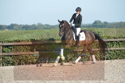 Blue Hors Dressuchampionat 2019 4års
Billeder fra stævnet
Nøgleord: jap's angel og mine l;maja brøchner