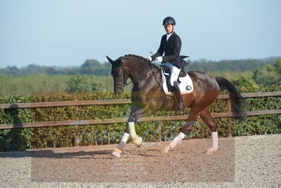 Blue Hors Dressuchampionat 2019 4års
Billeder fra stævnet
Nøgleord: lybækgårds chandler;klaus meldgaard jensen