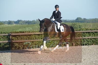 Blue Hors Dressuchampionat 2019 4års
Billeder fra stævnet
