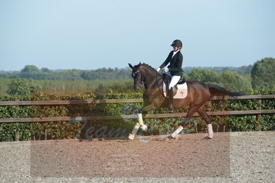 Blue Hors Dressuchampionat 2019 4års
Billeder fra stævnet
Nøgleord: jap&#039;s angel og mine l;maja brøchner