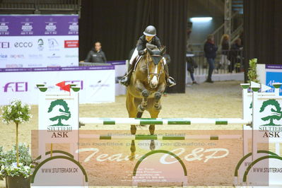 Worldcup Herning 2019
Nøgleord: linn wildmark;catrien z