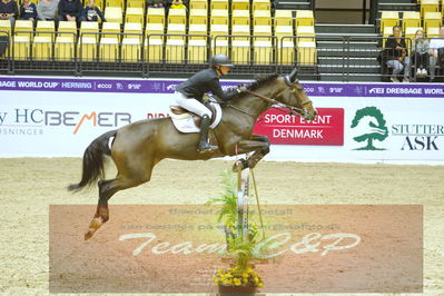 Worldcup Herning 2019
Nøgleord: linn wildmark;catrien z