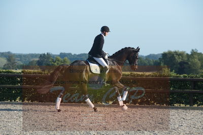 Blue Hors Dressuchampionat 2019 4års
Billeder fra stævnet
Nøgleord: lybækgårds chandler;klaus meldgaard jensen