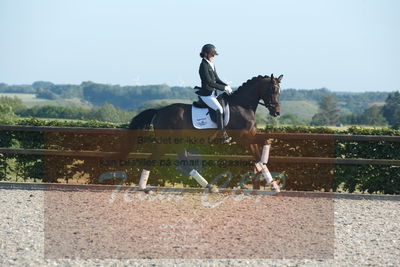 Blue Hors Dressuchampionat 2019 4års
Billeder fra stævnet
Nøgleord: jap&#039;s angel og mine l;maja brøchner