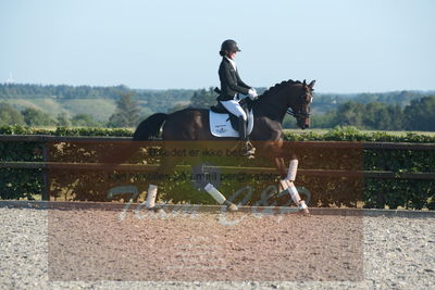 Blue Hors Dressuchampionat 2019 4års
Billeder fra stævnet
Nøgleord: jap&#039;s angel og mine l;maja brøchner