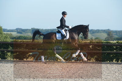 Blue Hors Dressuchampionat 2019 4års
Billeder fra stævnet
Nøgleord: lybækgårds chandler;klaus meldgaard jensen