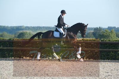 Blue Hors Dressuchampionat 2019 4års
Billeder fra stævnet
Nøgleord: flonel guldberg;steen steensen blicher