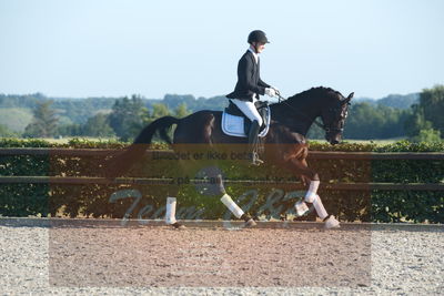 Blue Hors Dressuchampionat 2019 4års
Billeder fra stævnet
Nøgleord: flonel guldberg;steen steensen blicher