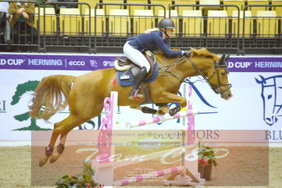 Worldcup Herning 2019
Nøgleord: zoe osterhoff;celina 218