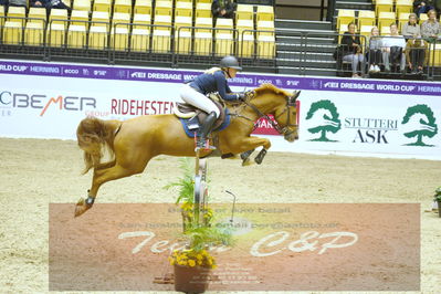 Worldcup Herning 2019
Nøgleord: zoe osterhoff;celina 218