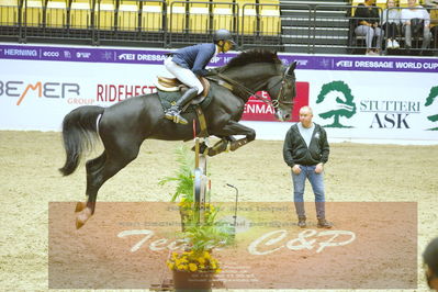 Worldcup Herning 2019
Nøgleord: ameen elmaghraby;conrad 123