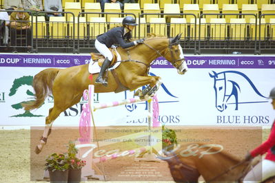 Worldcup Herning 2019
Nøgleord: caroline refhoff pedersen;carolus-magnus