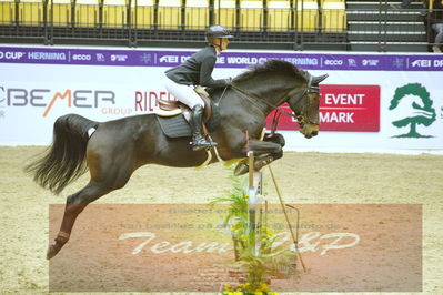 Worldcup Herning 2019
Nøgleord: louisa müller;lord grannus 4