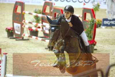Worldcup Herning 2019
Nøgleord: ingemar hammarström;captain sparrow 5