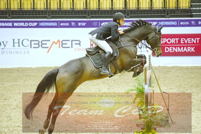 Worldcup Herning 2019
Nøgleord: ingemar hammarström;captain sparrow 5