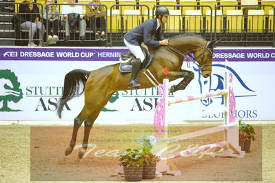 Worldcup Herning 2019
Nøgleord: sergio neuppmann junior;chicca blue