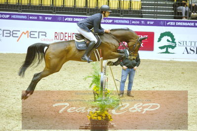 Worldcup Herning 2019
Nøgleord: sergio neuppmann junior;chicca blue