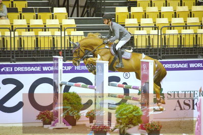 Worldcup Herning 2019
Nøgleord: theodor linde;salto des nauves h d c