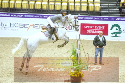 Worldcup Herning 2019
Nøgleord: phillippa w linde;jaguar